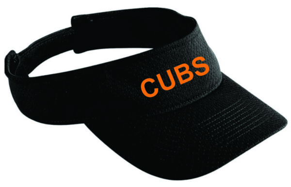 Visor