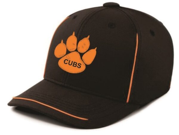 Cubs Flex Fit Cap