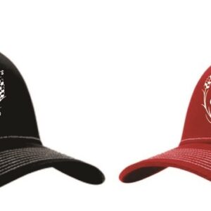 DC THEATER GROUP - TRUCKER CAP